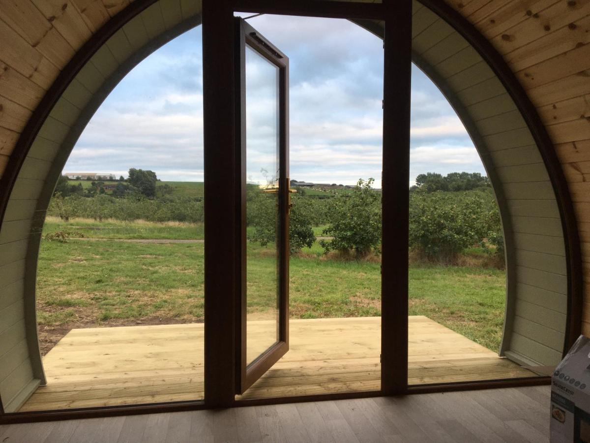 Orchard Luxe Glamping Pod Hotel Dungannon Exterior foto