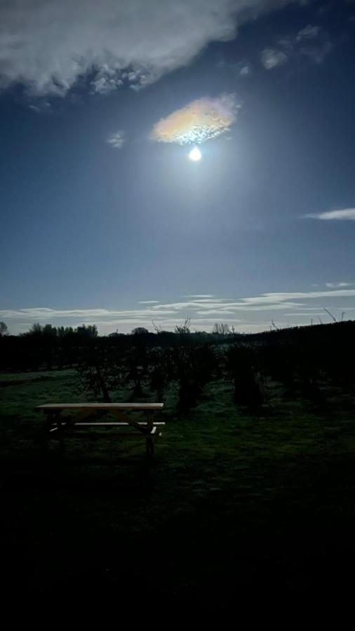 Orchard Luxe Glamping Pod Hotel Dungannon Exterior foto